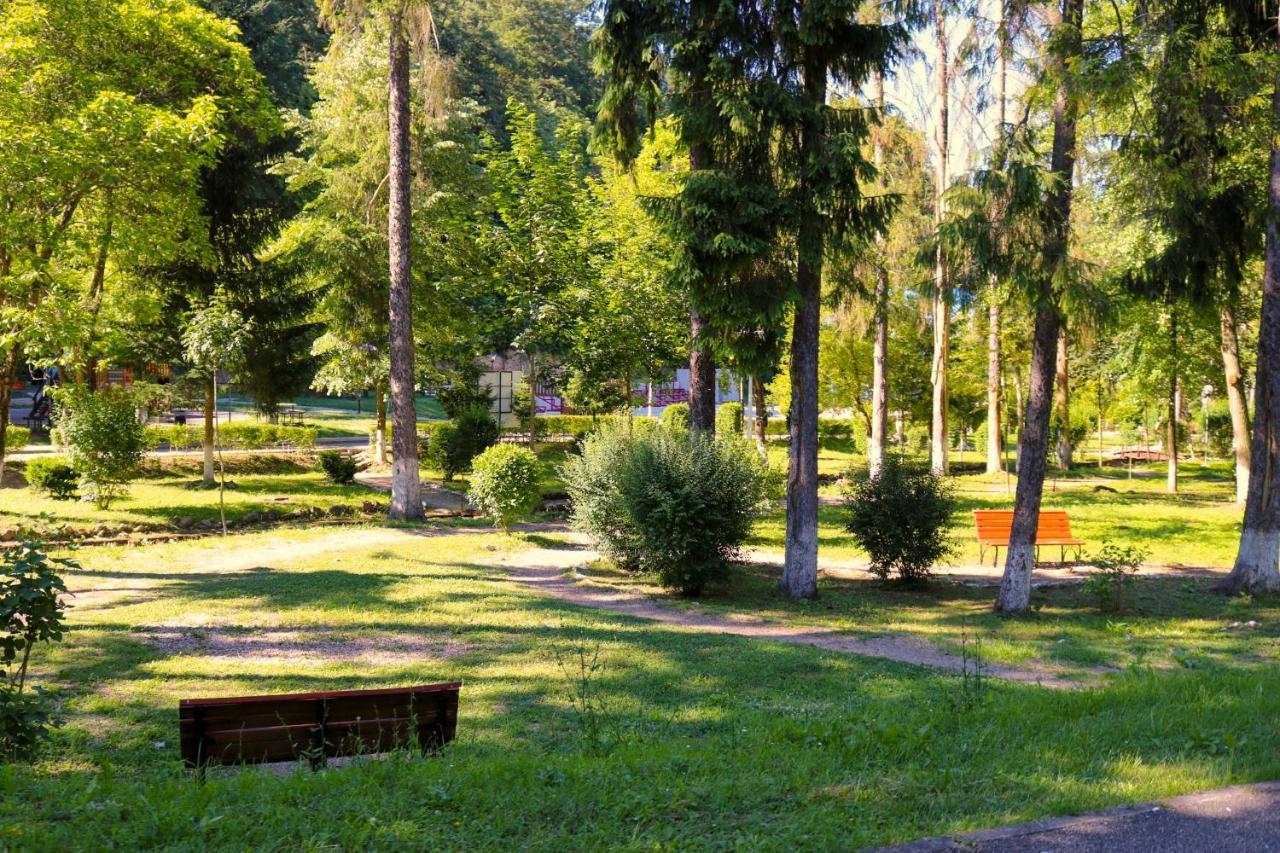Apartament Iulia Geoagiu Băi Esterno foto