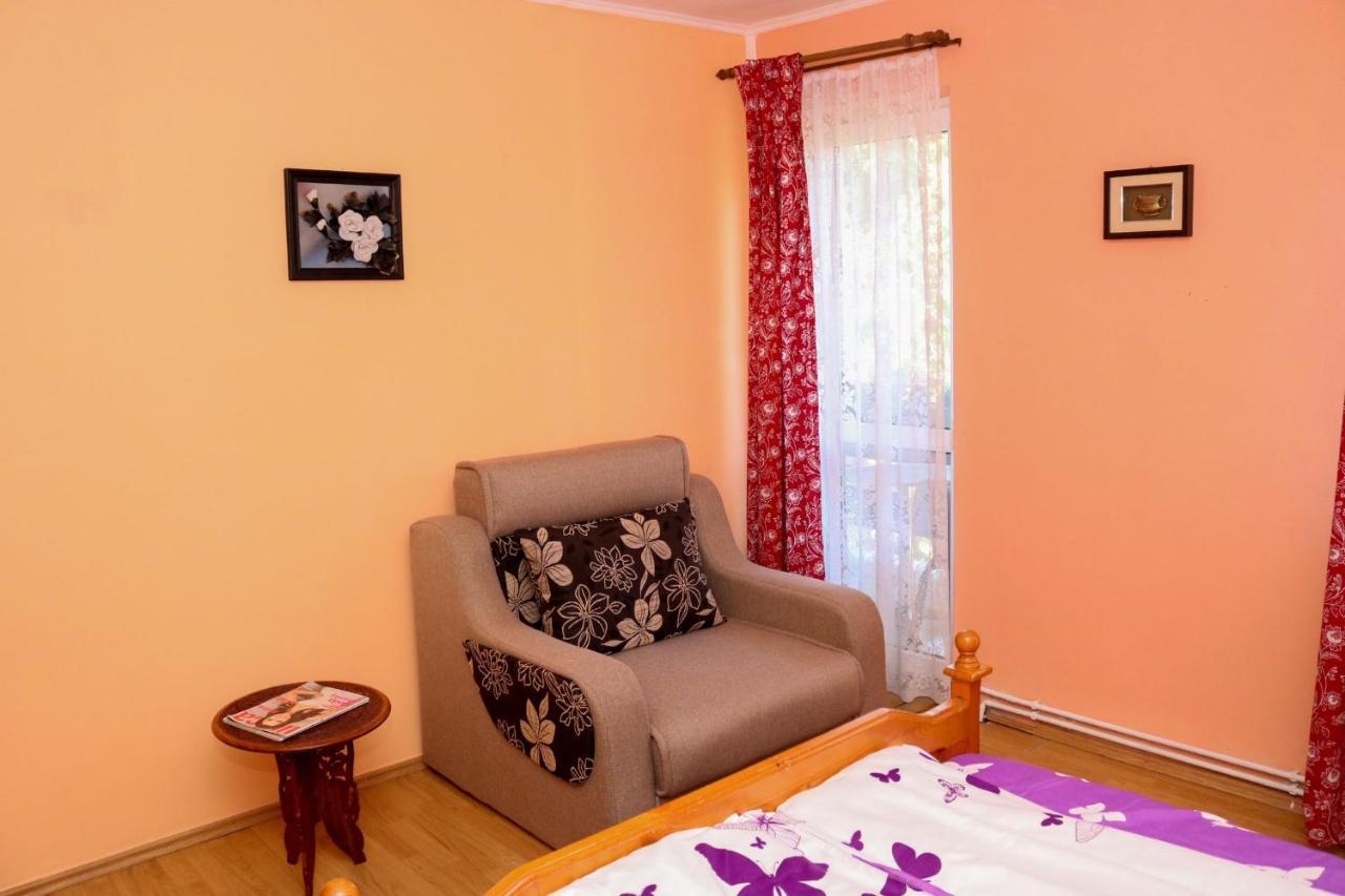 Apartament Iulia Geoagiu Băi Esterno foto