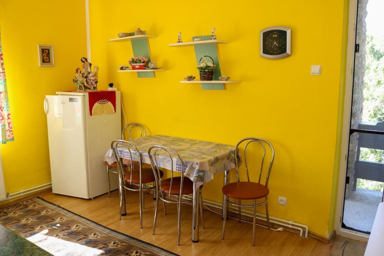 Apartament Iulia Geoagiu Băi Esterno foto