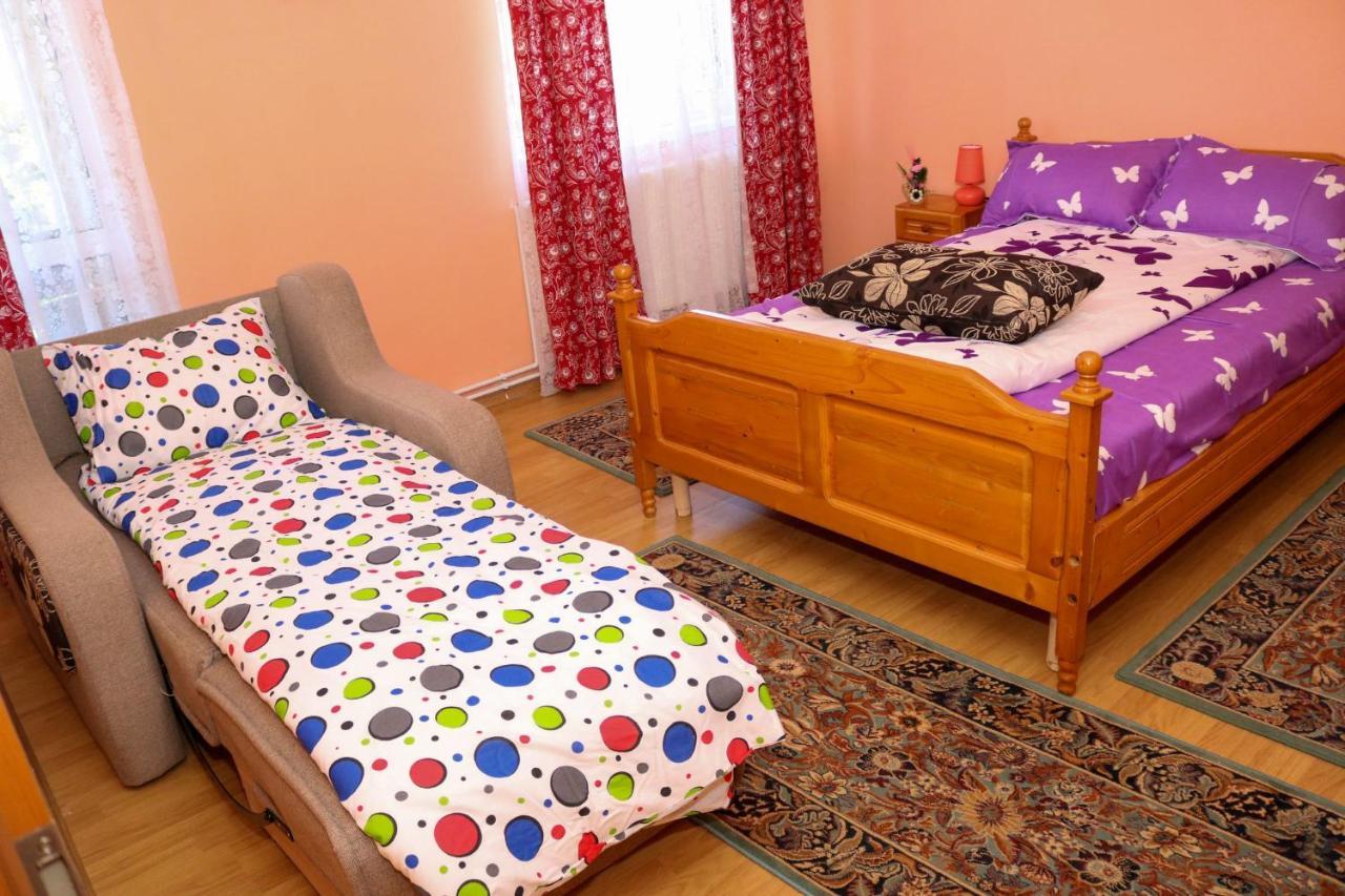 Apartament Iulia Geoagiu Băi Esterno foto