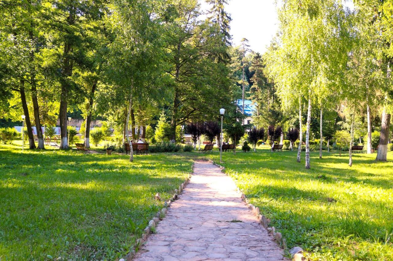 Apartament Iulia Geoagiu Băi Esterno foto