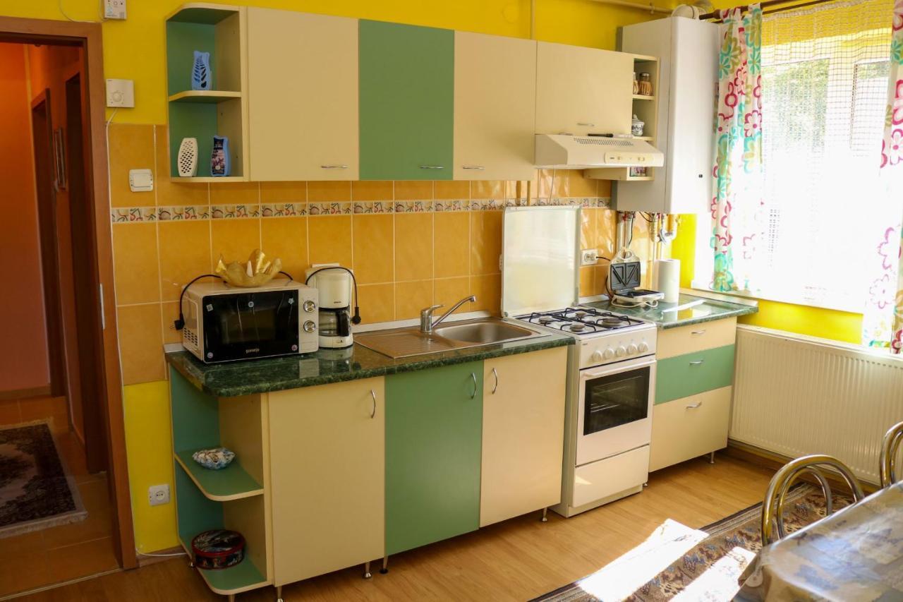 Apartament Iulia Geoagiu Băi Esterno foto