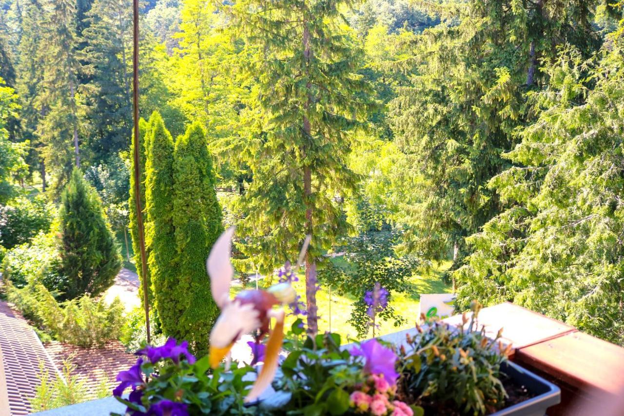 Apartament Iulia Geoagiu Băi Esterno foto