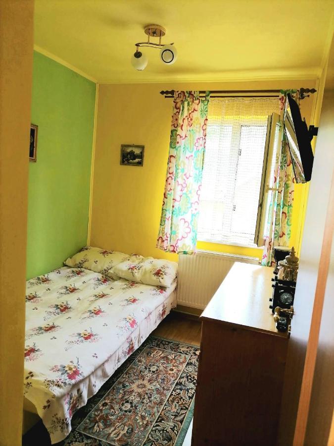 Apartament Iulia Geoagiu Băi Esterno foto